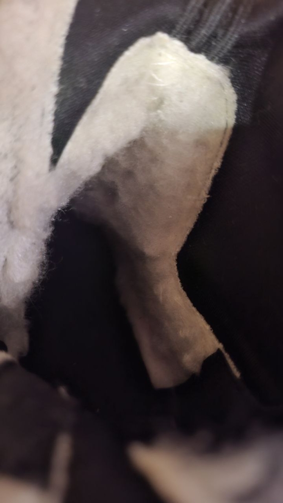 Luna Ilgaauliai - Image 7